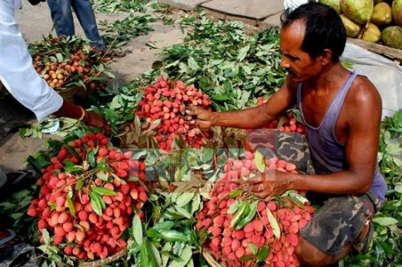 Demand for seasonal fruit goes high in the state Demand for seasonal fruit goes high in the state
